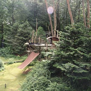 Colombian black spider monkey and Capybara exhibit, 2024-08-18
