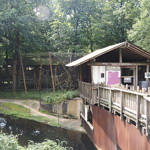 Capybara exhibit land and holding area and entrance and part of Hanuman langur walk-through exhibit, 2024-08-18
