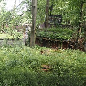Capybara yard and shelter, 2024-08-18