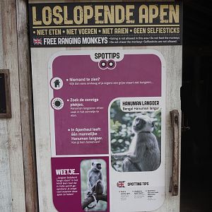 Hanuman langur signage, 2024-08-18