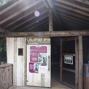 Entrance of Hanuman langur walk-through exhibit, 2024-08-18