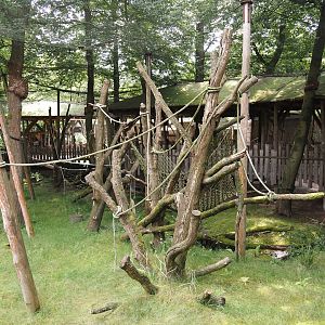 Hanuman langur walk-through exhibit, 2024-08-18