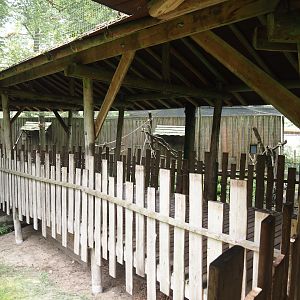 Covered visitor boardwalk in the Hanuman langur walk-through exhibit, 2024-08-18