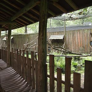 Hanuman langur walk-through exhibit, 2024-08-18