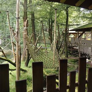 Hanuman langur walk-through exhibit, 2024-08-18