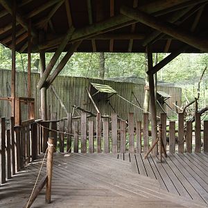 Covered visitor boardwalk in the Hanuman langur walk-through exhibit, 2024-08-18