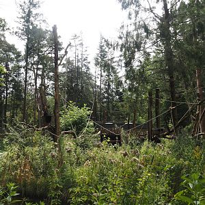 White-faced capuchin island, 2024-08-18