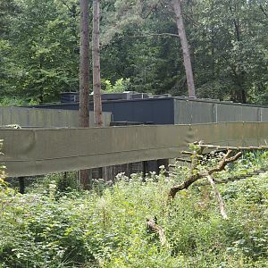 Fencing, holding cage and building for capuchins and howler monkeys, 2024-08-18