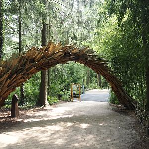 Entrance to the African forest walk-through area with Gabon talapoin and King colobus, 2024-08-18