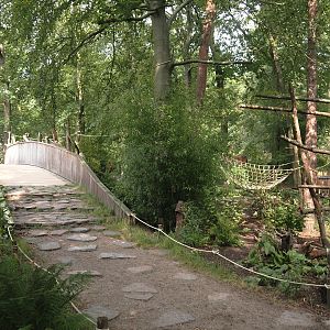 African forest walk-through area with Gabon talapoin and King colobus - View towards visitor bridge, 2024-08-18