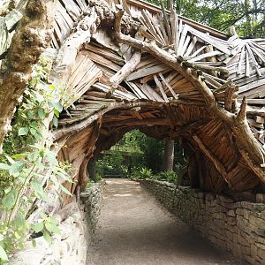 African forest walk-through area with Gabon talapoin and King colobus - Side of building, 2024-08-18