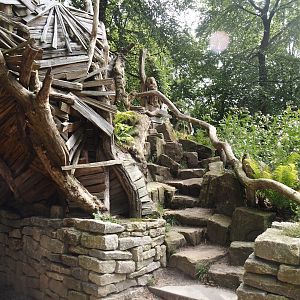 African forest walk-through area with Gabon talapoin and King colobus - Small adventure route between bridge and lower area, 2024-08-18