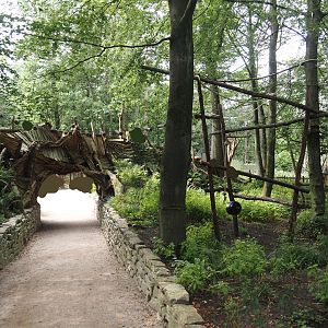 African forest walk-through area with Gabon talapoin and King colobus - View in lower area towards bridge 2024-08-18