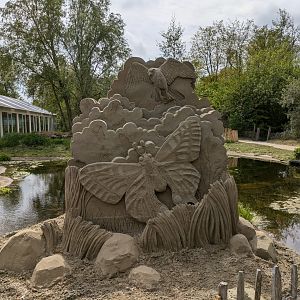 Sand & Zoo event - Butterfly sand sculpture