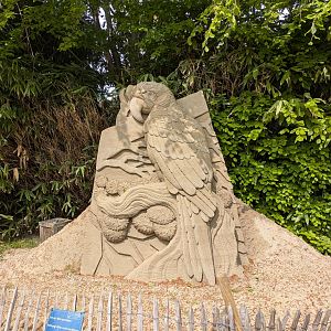 Sand & Zoo event - Parrot sand sculpture