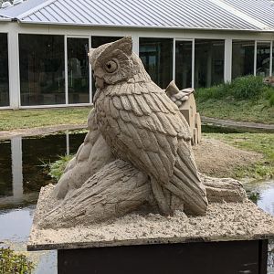Sand & Zoo event - Owl sand sculpture
