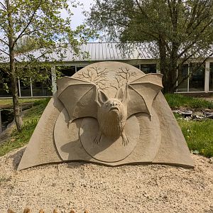 Sand & Zoo event - Bat sand sculpture