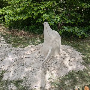 Sand & Zoo event - Dolphin sand sculpture