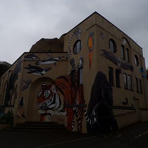 Former aquarium 11.2.25