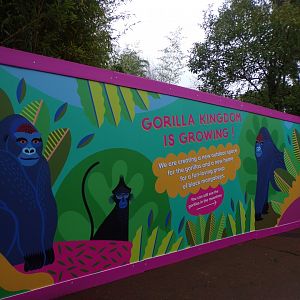 Development sign for gorilla enclosure 11.2.25