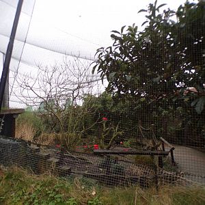 Bird safari aviary 11.2.25