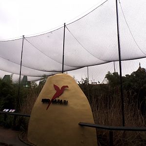 Bird safari aviary 11.2.25