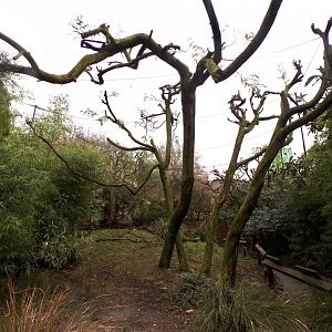 Bird safari aviary 11.2.25