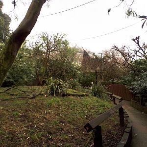 Bird safari aviary 11.2.25