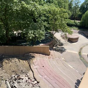 Seperation for future pygmy hippo enclosure