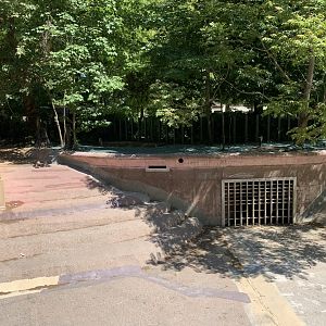 Seperation for future pygmy hippo enclosure