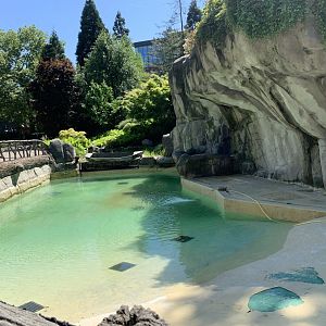 Cleaned and filled pool, home to harbour seals soon