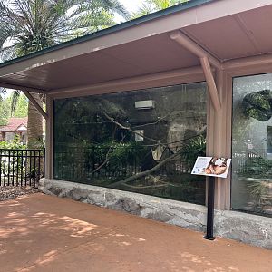 Apr. 2025 - Sloth Crossing - new for 2025