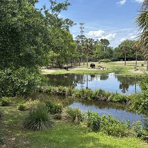 Apr. 2025 - Africa Loop - Rhino Savanna (1)