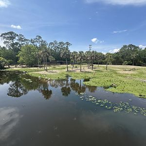 Apr. 2025 - Africa Loop - Rhino Savanna (2)