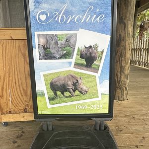 Apr. 2025 - Africa Loop - Archie Signage