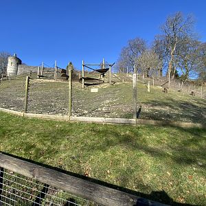 Outdoor gelada enclosure