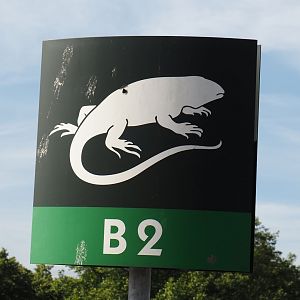 Example of parking lot row signage with animal icons, 2024-06-30