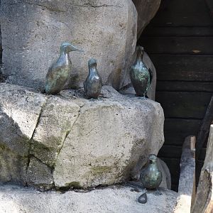 Common murre statues, 2024-06-30