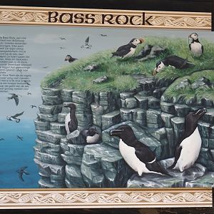Bass Rock signage, 2024-06-30