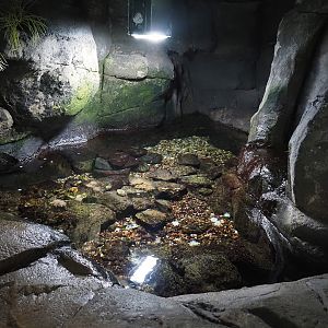 Wave tide pool, 2024-06-30