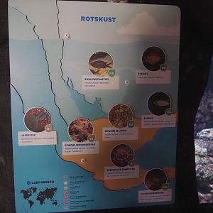 Rocky coast tank signage, 2024-06-30