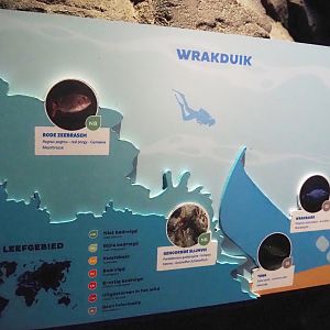 Wreck dive tank signage, 2024-06-30