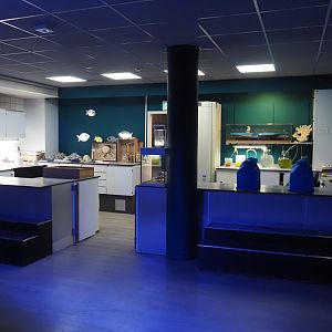 Ocean lab, 2024-06-30