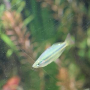 Melbourne Zoo - ID??