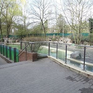 Humboldt penguin enclosure