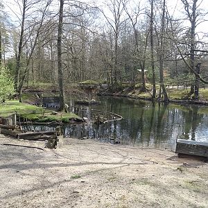 Flamingo/ waterfowl enclosure