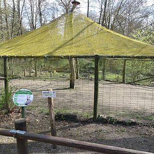 Flamingo enclosure