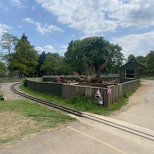 Cape/Crested porcupine enclosure 090525