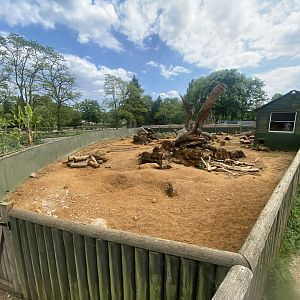 Cape/Crested porcupine enclosure 090525