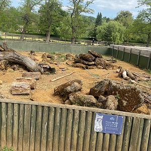 Cape/Crested porcupine enclosure 090525